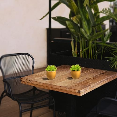 Vista 5 de VANGOLD Paquete de 2 suculentas artificiales Bring Nature Indoor en macetas doradas de moda, perfectas para decoración del hogar, oficina y eventos