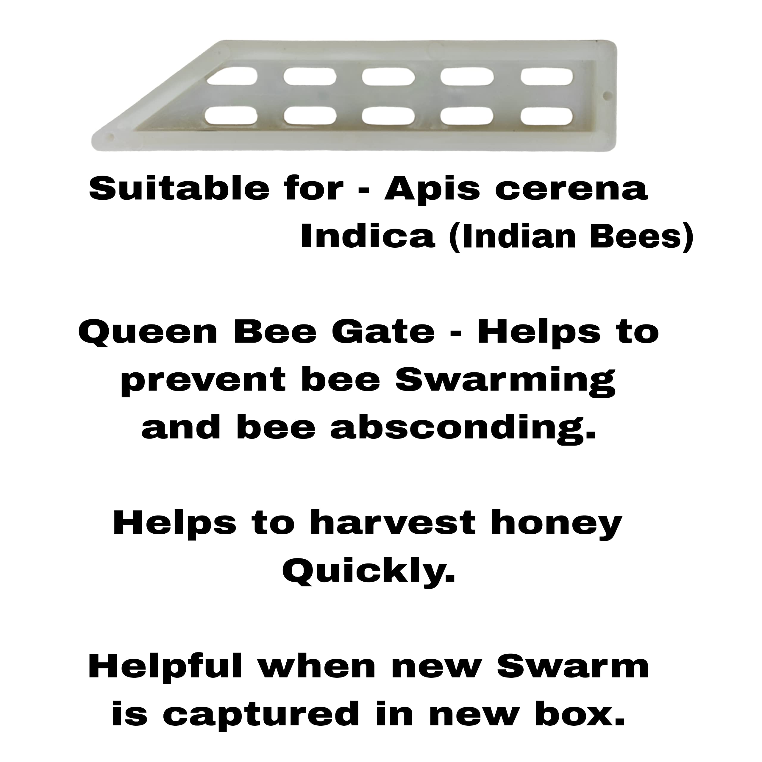 RAHBAN Plastic Queen Bee Gate - for Apis Cerena Indica/Indian Bees (Pack of 10) – Bee Gate Prevents Swarming - Image 3 thumbnail