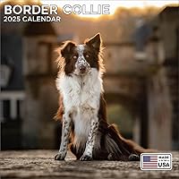 Vista 1 de 2025 Border Collie Calendar - Dog Breed Wall Calendar - 12 x 24 Open - Thick No-Bleed Paper - 14 Month Planner Calendar Organizing & Planning