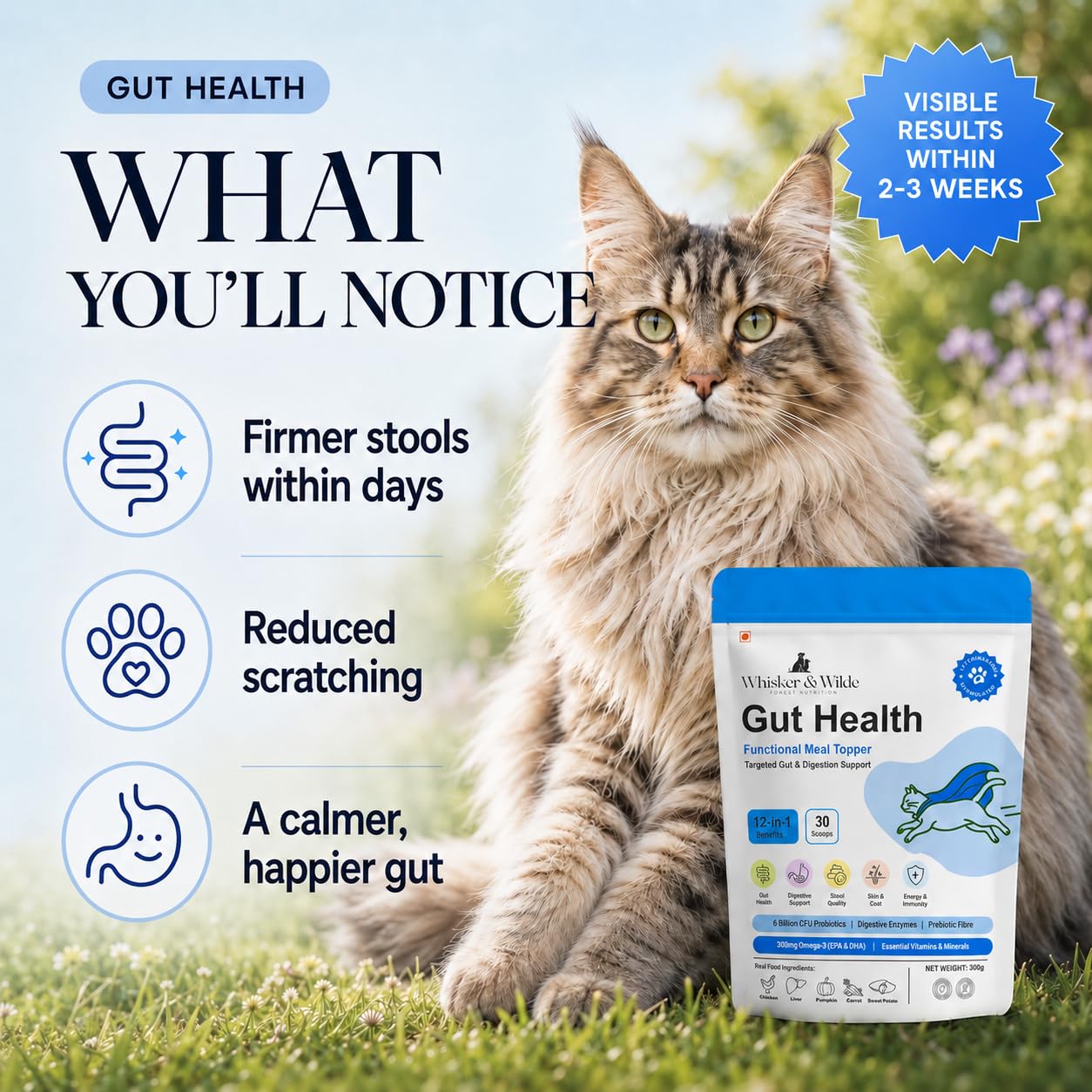 Cat Gut Health Supplement | Targeted Gut Health Support | 6 Billion CFU Probiotics for Loose Stools, Vomiting, Gas and Paw Licking | L-Methionine for Urinary Health | 300g — Amazon image 4
