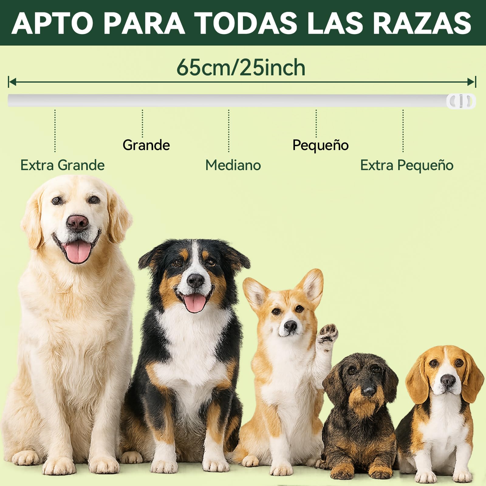 Collar Antiparasitario Perros, Protección Efectiva Collares Antiparasitarios para Perros, 100% Natural, Impermeable, Adjustable, Collar Antipulgas Perros para Pequeños, Medianos y Grandes,65 cm — view 5