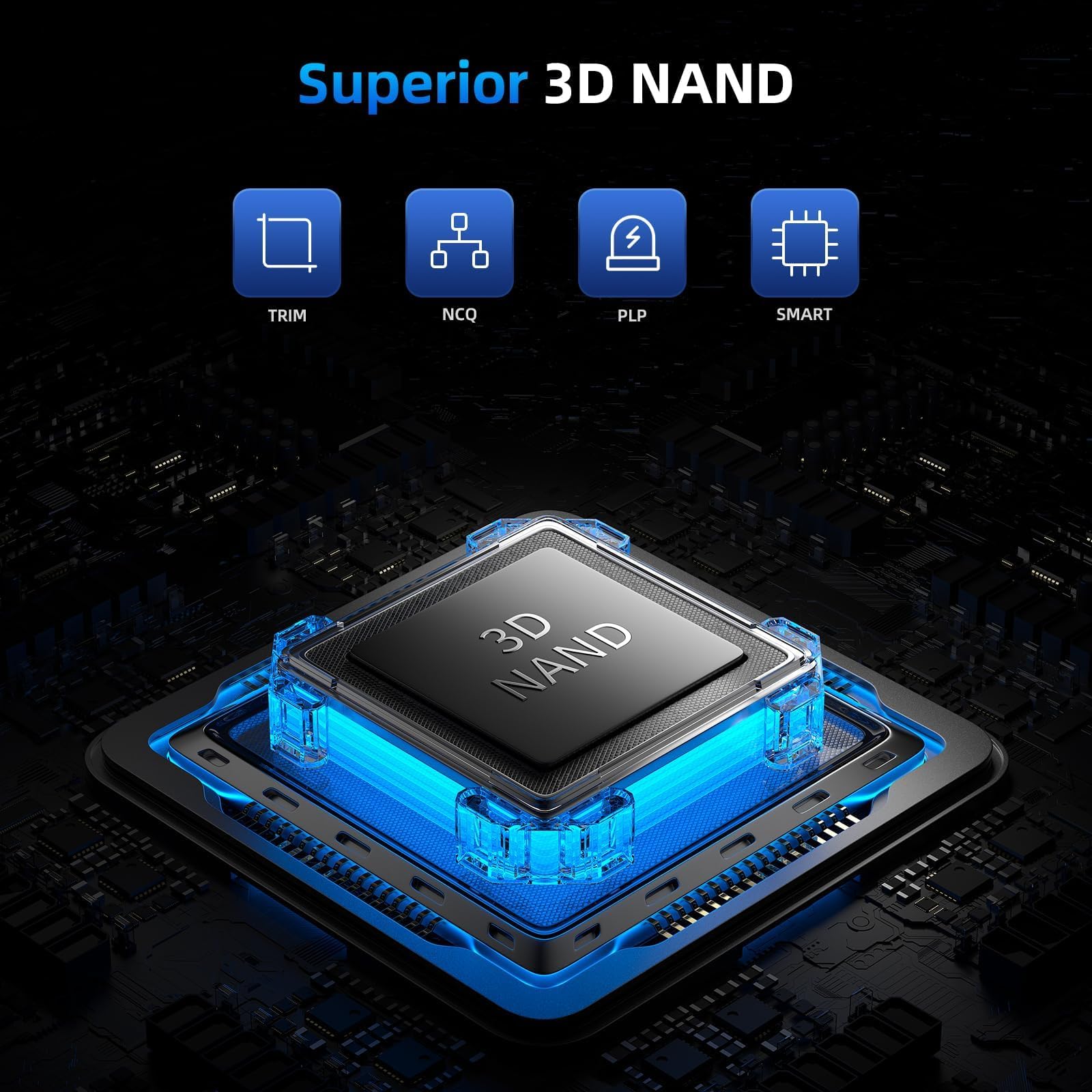 Amazon.in: Buy SAN ZANG MASTER 2TB SSD M.2 NVME, Gaming Internal