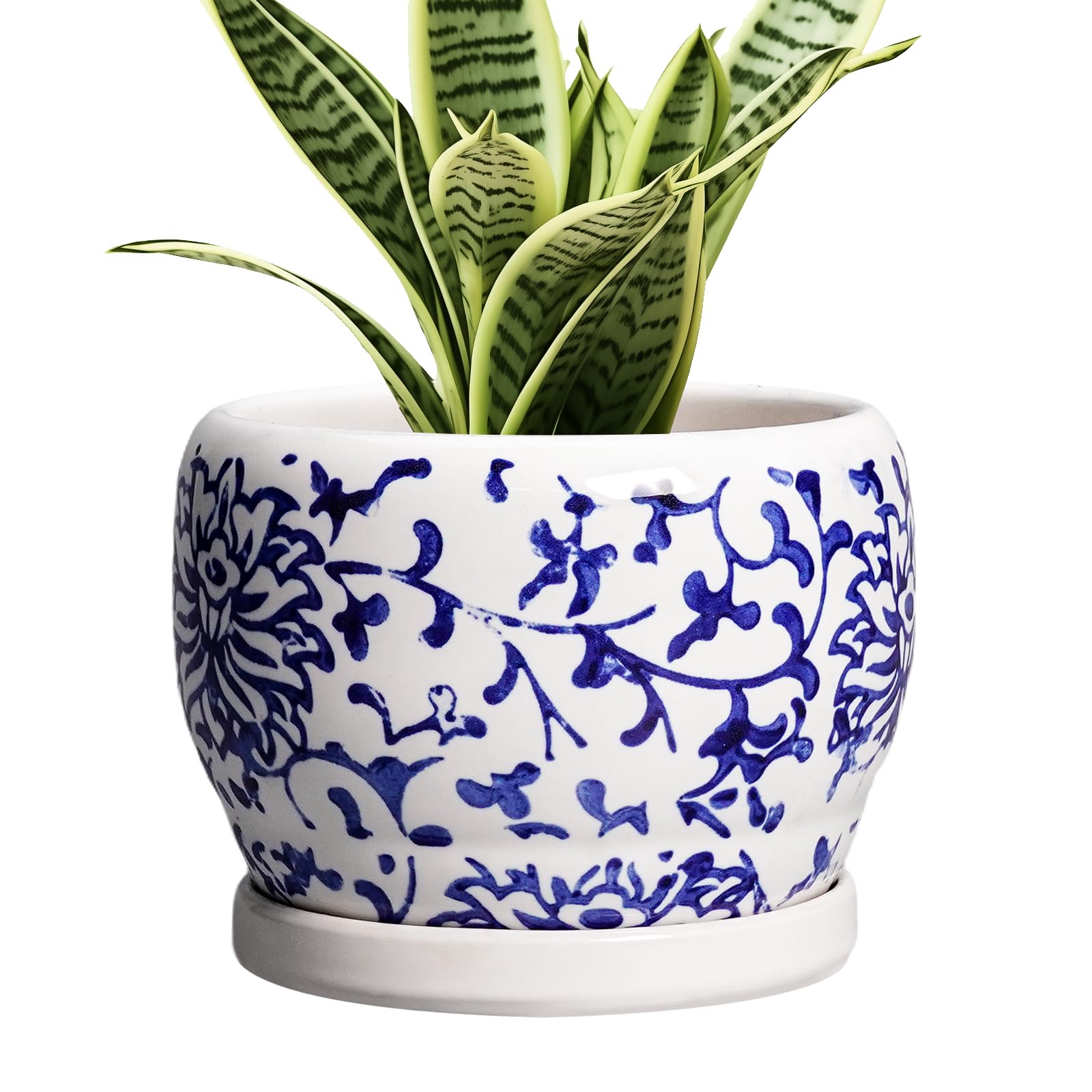 SQOWL 6 Inch Planter