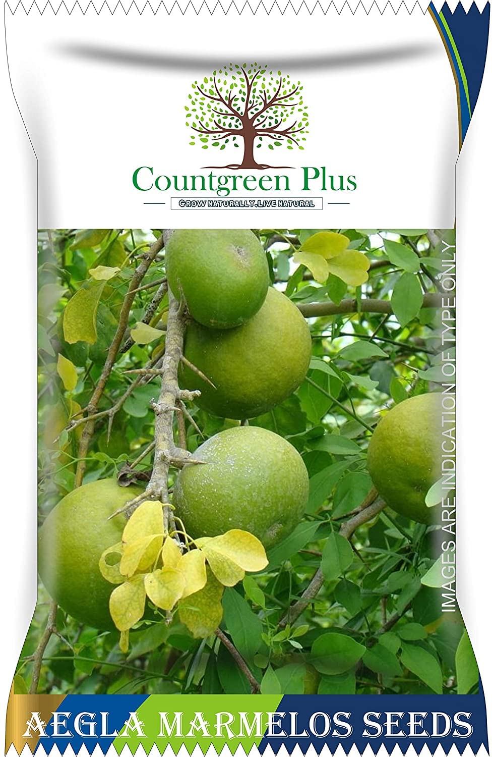 See full amazon price history chart for Countgreen Plus Bel Patra (Bael Leaves/Aegle Marmelos/Bilva) 50 Fruit Seeds - Pack Of 2 Countgreen Plus Bel Patra (Bael Leaves/Aegle Marmelos/Bilva) 50 Fruit Seeds - Pack Of 2 (B0BRWXFDKF) Amazon Price History, Amazon Price Tracker