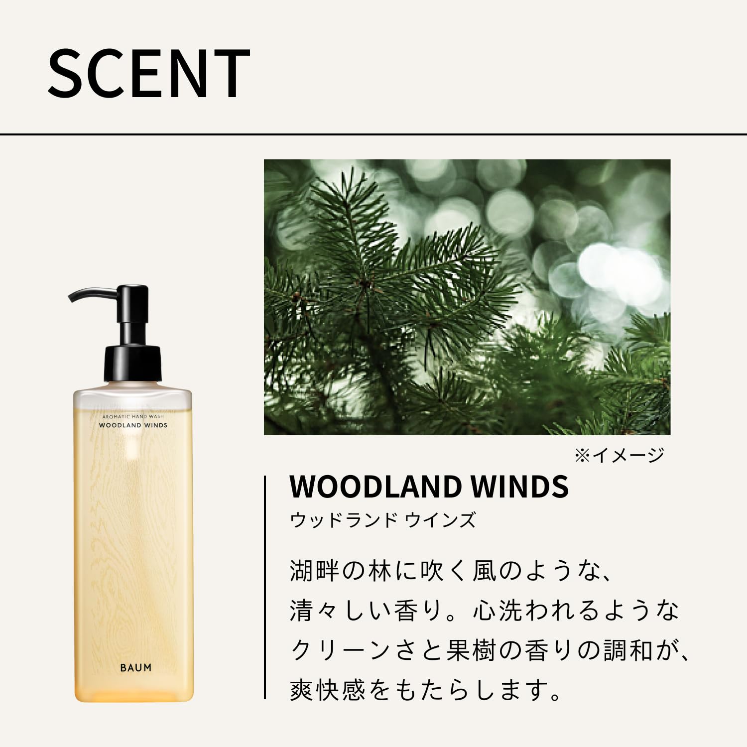 Amazon.co.jp: Baum (Baum) Aromatic Hand Wash n 300mL | 2024 Model