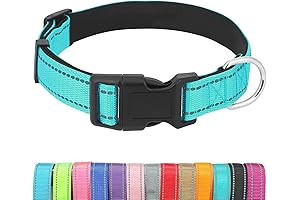 Turquoise Collar: Adjustable and Durable for Small Dogs