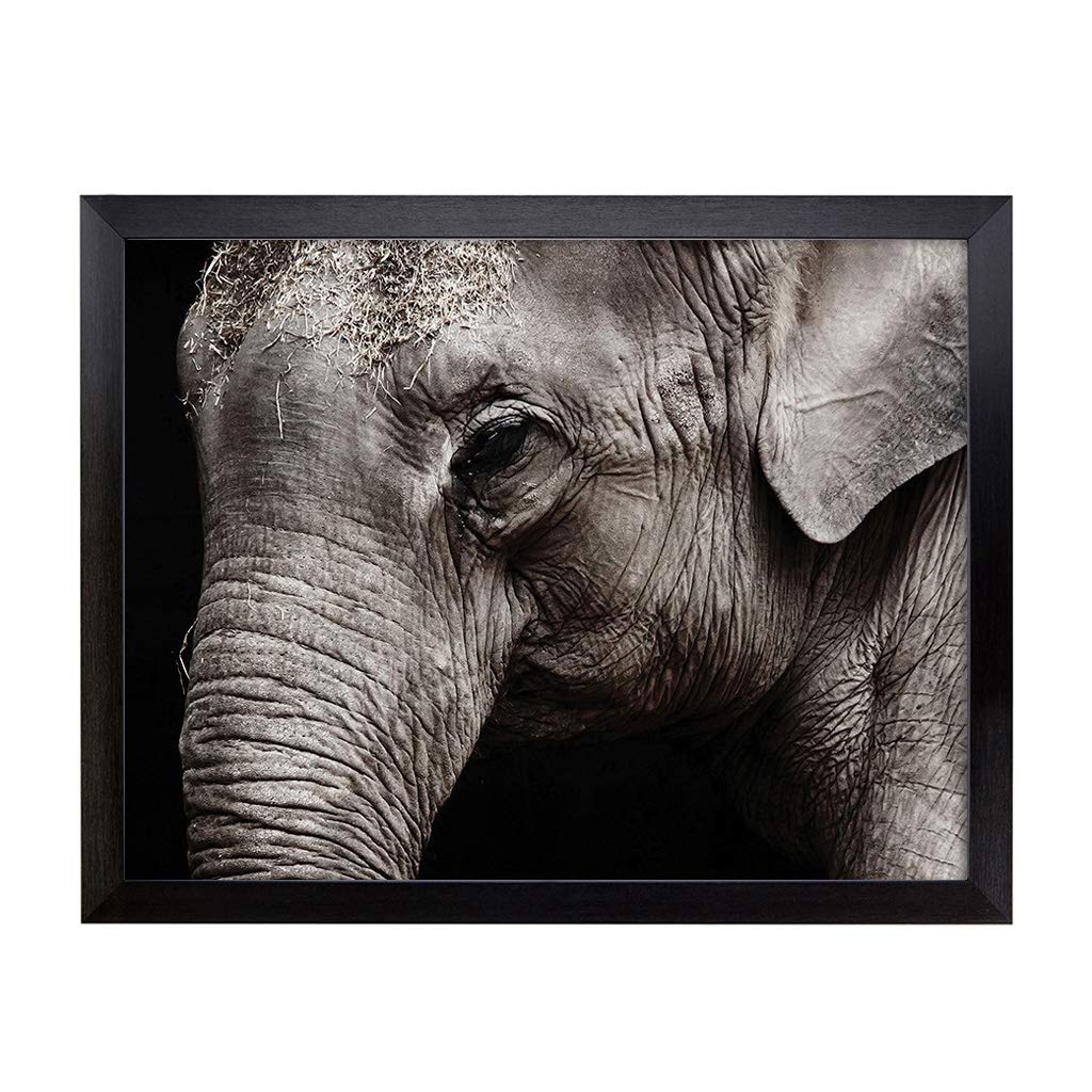 Lap Tray with Cushion | Elephant (5) | Padded Bean Bag Cushion | For Eating, Working, Crafting, Laptop | Portable Table Desk