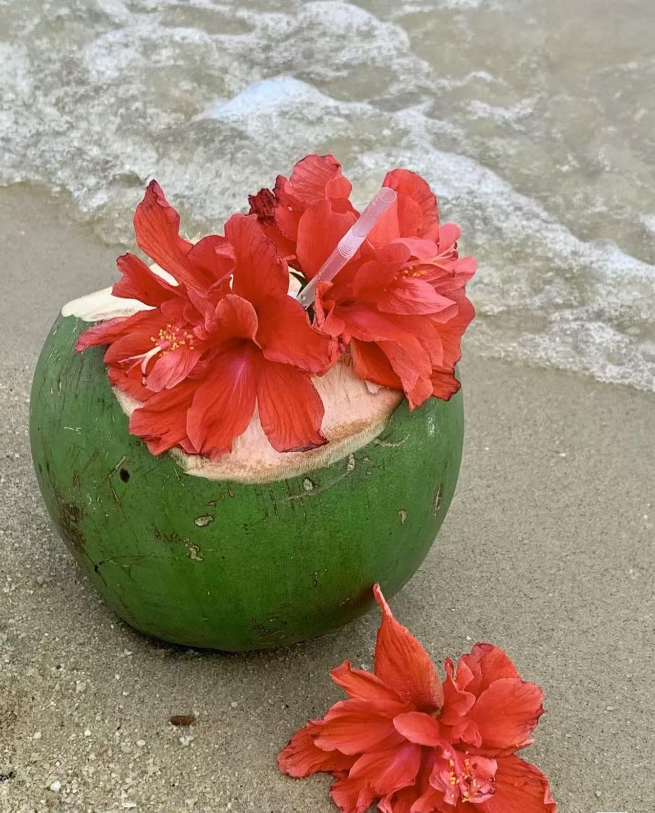 6 pinzas para el pelo de flores hawaianas, 3.5 pulgadas, horquillas de pelo de hibisco de plumeria, pinzas para el pelo para mujeres, bodas, accesorios para el cabello de flores, clip para niñas