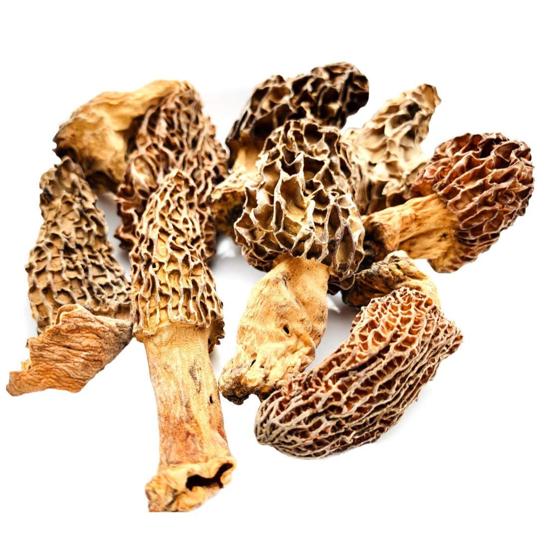 KANZ & MUHUL Rich in Vitamin D & Antioxidant Gucchi Morel Natural Kashmiri Mushrooms Dried Black Morchella, 50gms, Pack of 1 True Morels