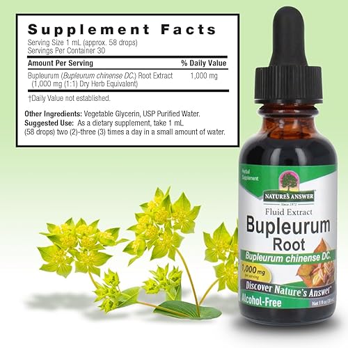 Vista 3 de Nature's Answer Bupleurum Root Bupleurum Chinense – Suplemento herbario natural – Sin gluten – Ideal para inmunidad hepática bienestar general salud