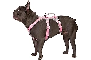 Escape Artist Dog Harness: Unbreakable Protection for Adventure-Loving Canines