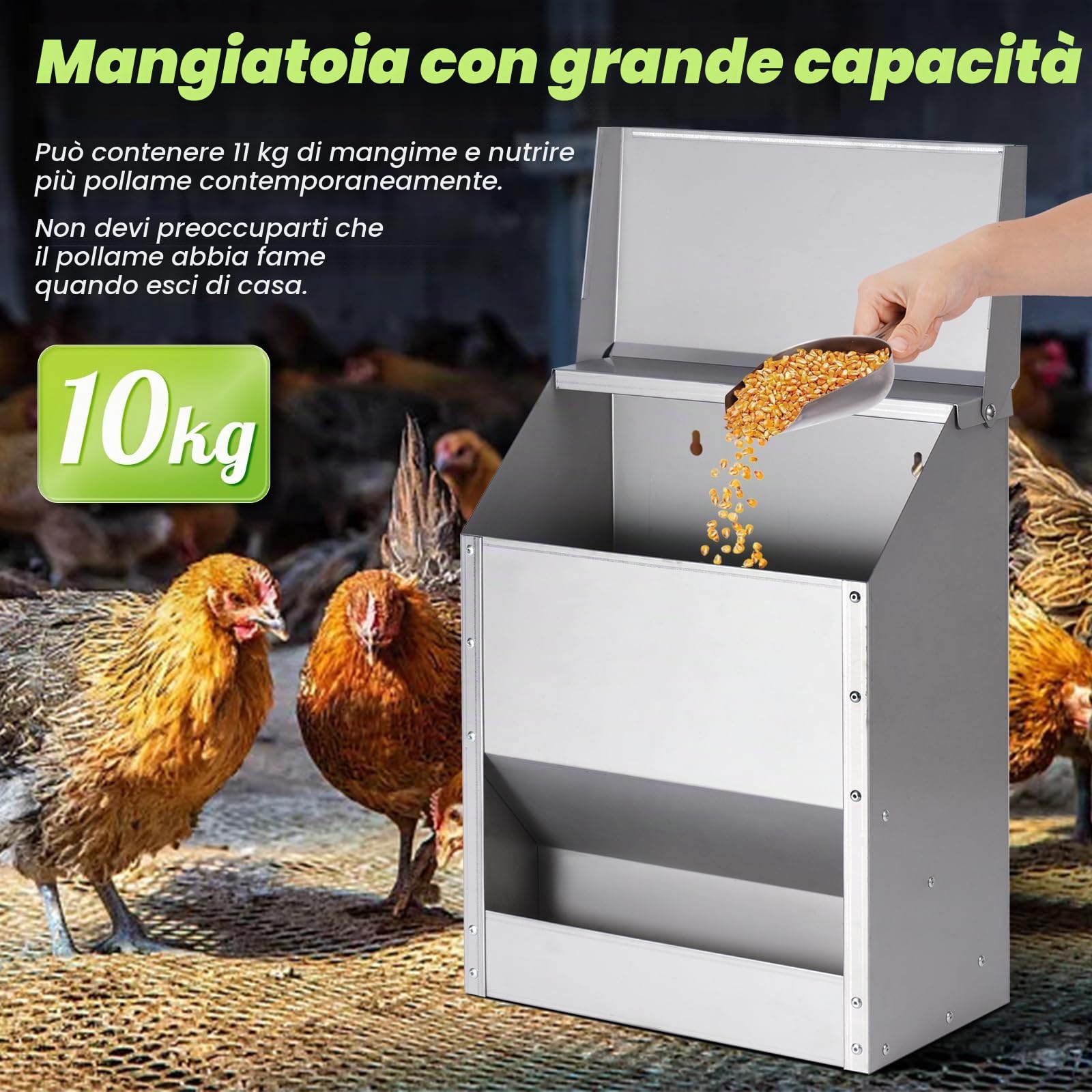 Distributore Automatico Mangime Per Polli, 10 Kg di Mangime per Pollame Appeso in Acciaio Inox con Abbeveratoio per Polli, Senza Sprechi, Mangiatoia per Pollai All'Aperto, Mangiatoia per Anatre, Oche