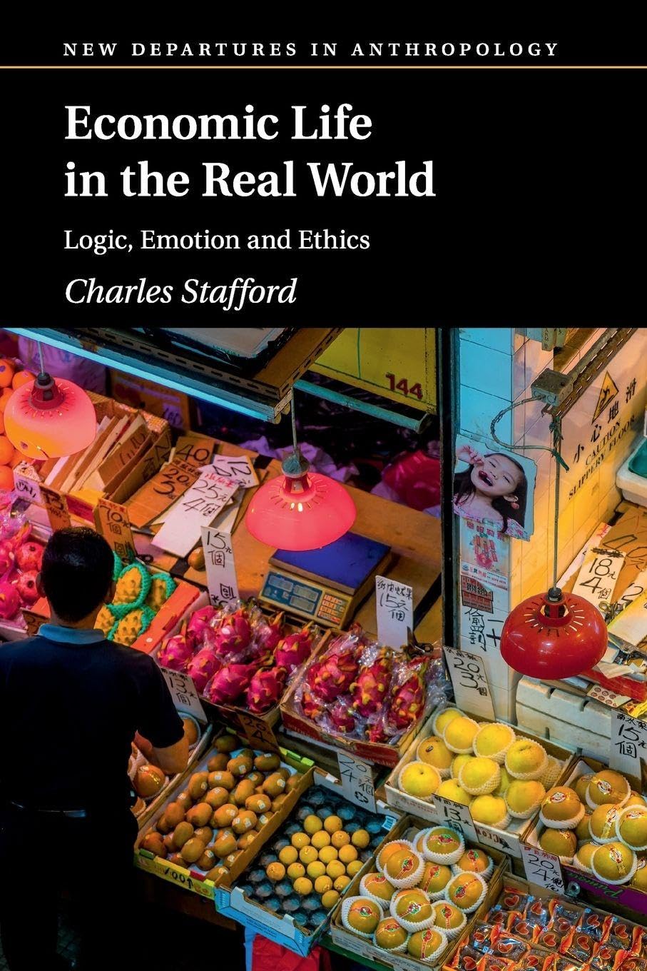 Economic Life in the Real World: Logic, Emotion and Ethics (New Departures in Anthropology)