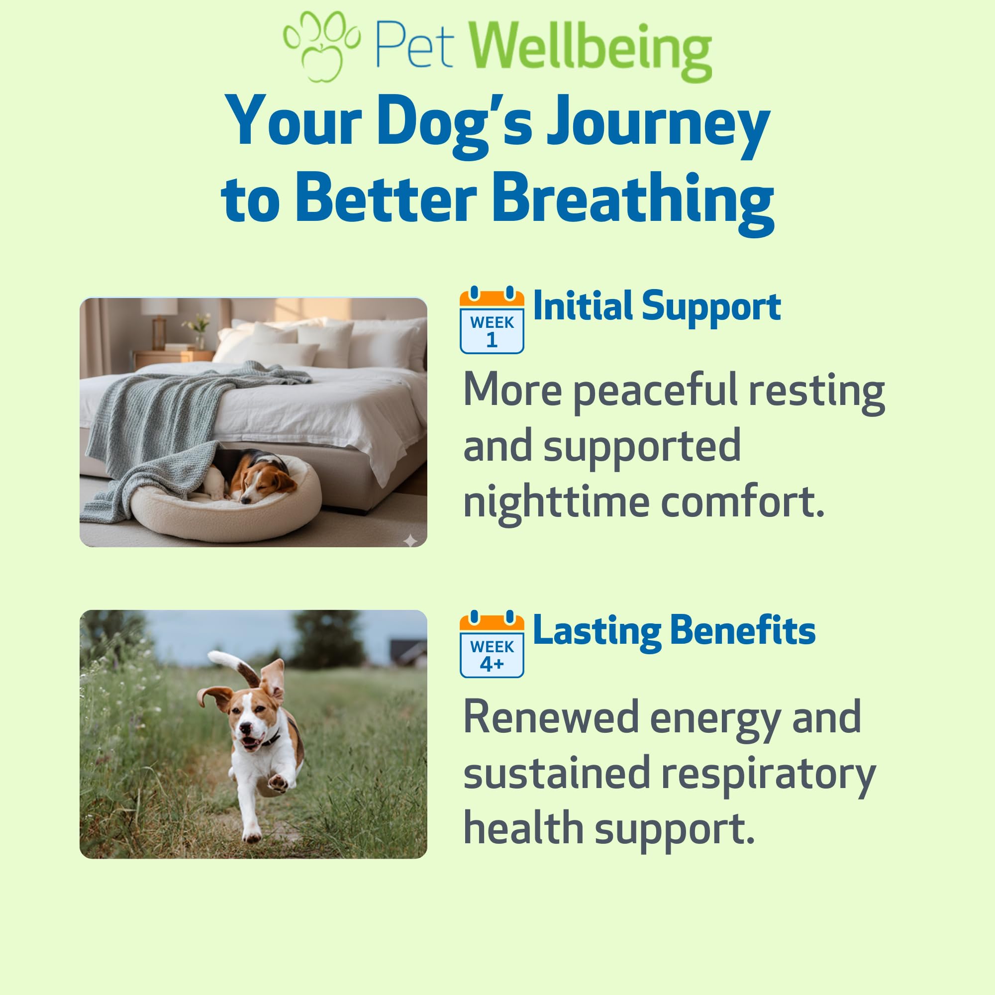 Pet Wellbeing Respir-Gold for Dogs - Allergic Airway & Breathing, 2 oz — Amazon image 4