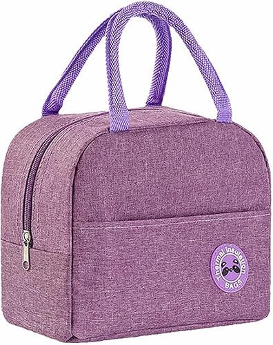 Lonchera portátil catiónica para almuerzo con aislamiento térmico, bolsa de aislamiento térmico, bolsa de aislamiento térmico, bolsa de aislamiento