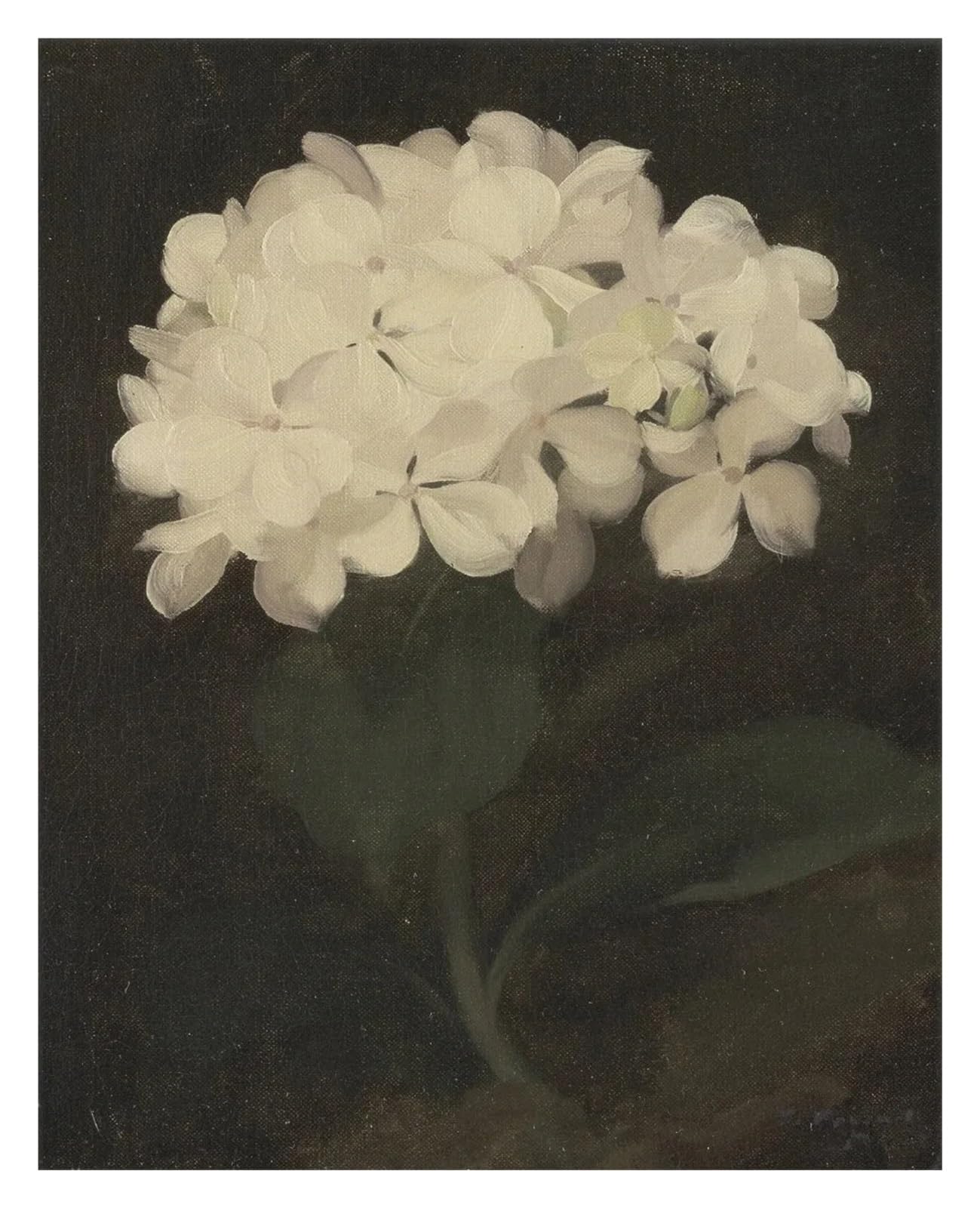 Fleurs de femme rustiques sur toile pour sublimer un mur vide