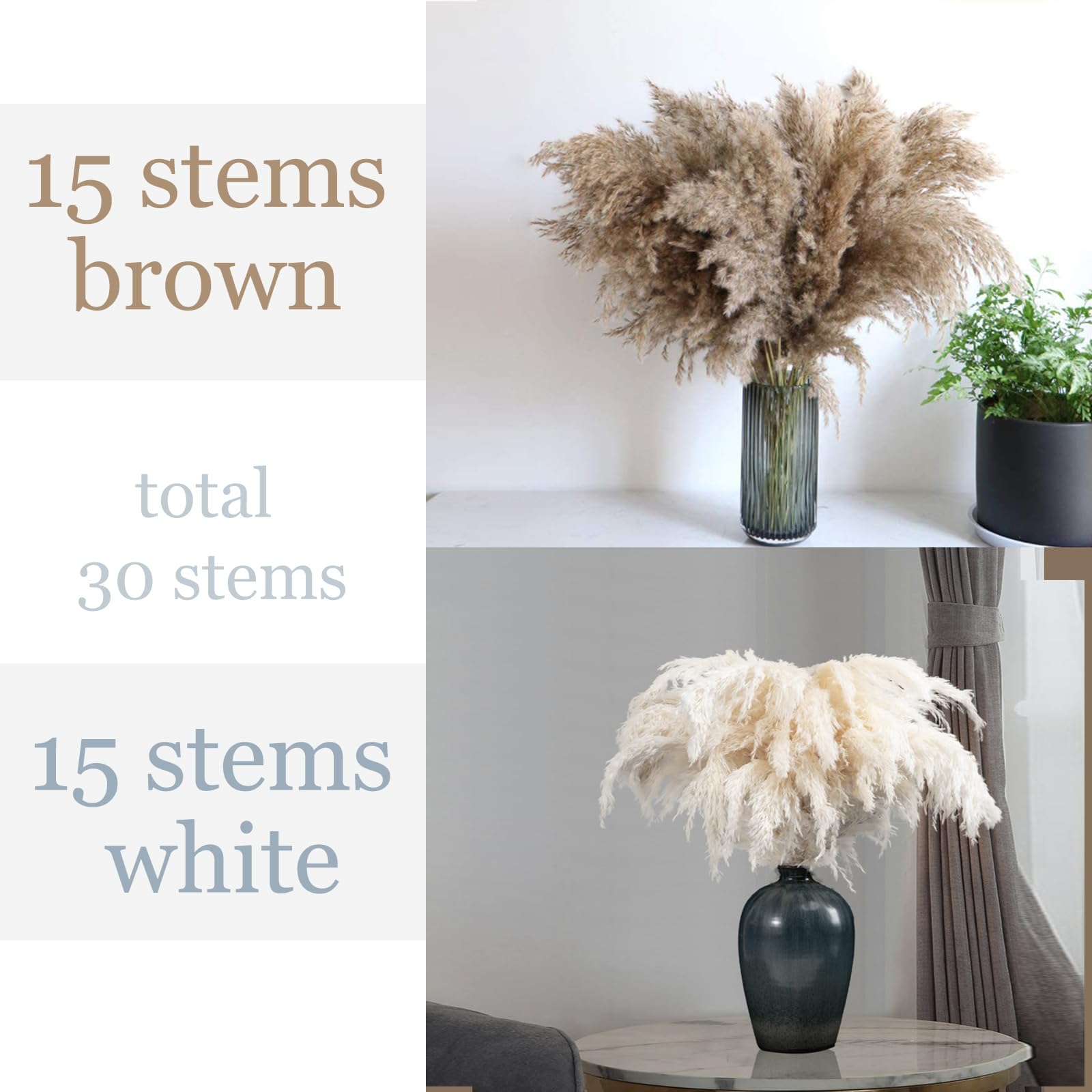 Décoration bohème à 30 tiges – Herbe de la pampa séchée, duveteuse marron et blanche, petites fleurs de pampa courtes et sèches en vrac pour décoration d'intérieur, décoration d'intérieur, décoration