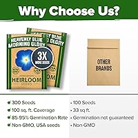Vista 261 de HOME GROWN Más de 1000 semillas de cilantro para plantar en interiores o exteriores, hierbas tradicionales sin OMG, semillas de plantas de cilantro