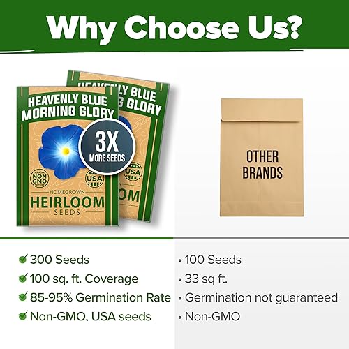 Miniatura 463 de HOME GROWN 12 semillas de vegetales de otoño, más de 6,000 semillas de reliquia para plantar en otoño e invierno, remolacha, brócoli, repollo, col