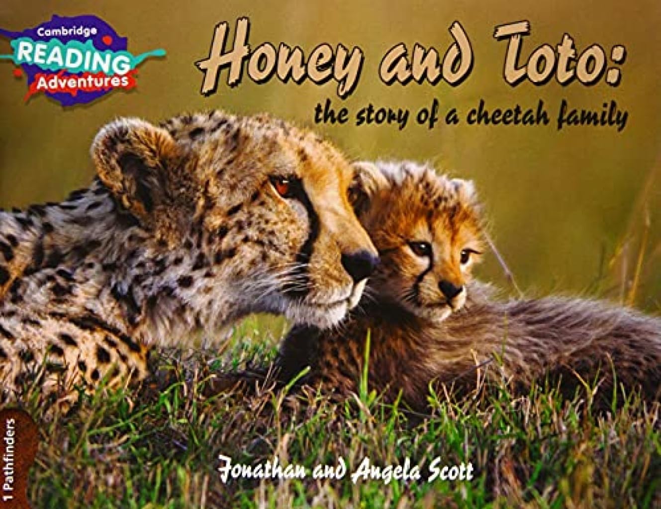 Cambridge Reading Adventures Honey and Toto: The Story of a Cheetah Family 1 Pathfinders