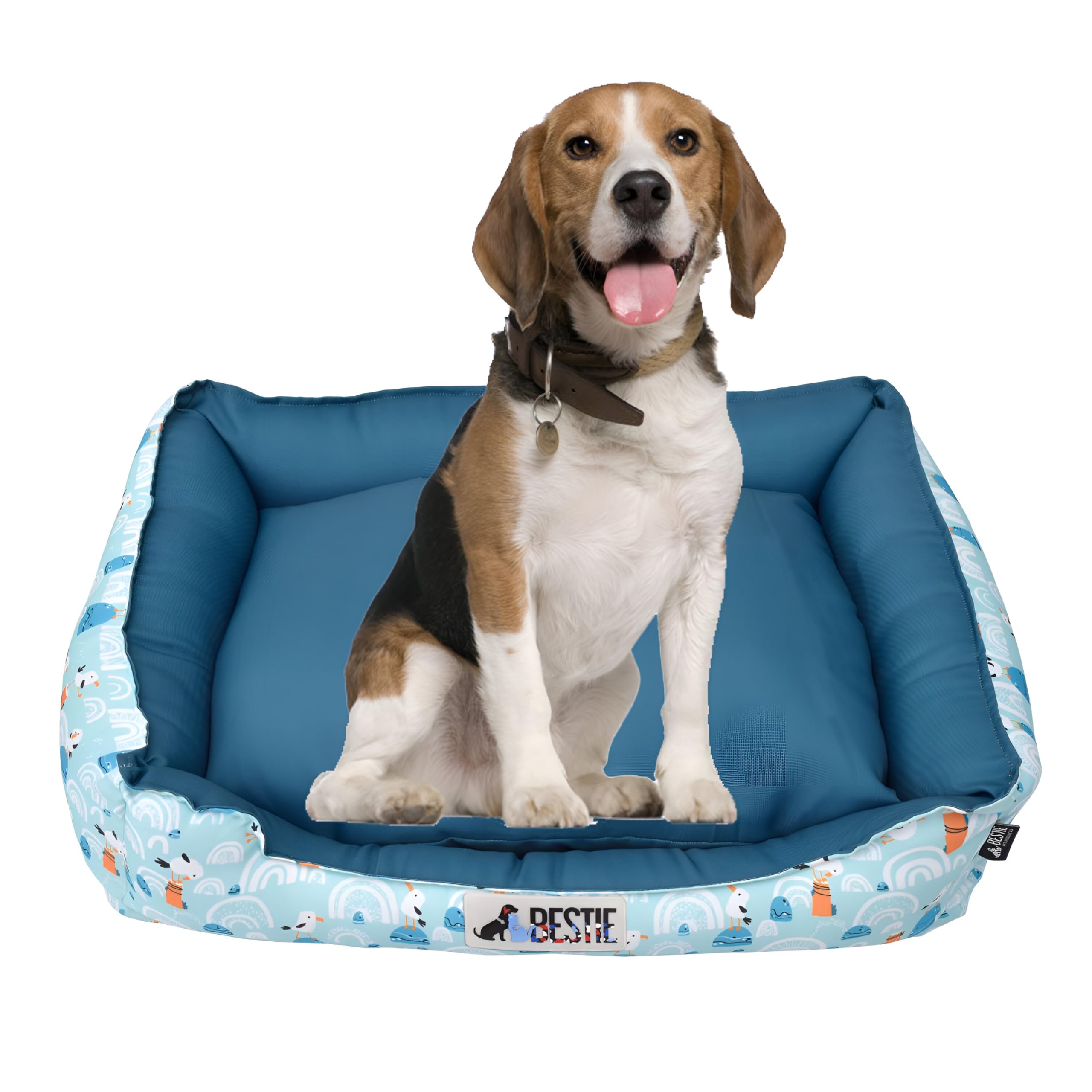 BESTIE PET PRODUCTS Polyester Large Sofa Style Dog Bed, Cat/Puppy/Rabbit/Kitten/Pet Beds, Seagulls 29X22X9 Inches with Washable Cover, Non-Skid Bottom, Indoor/Outdoor Use- Peacock Blue