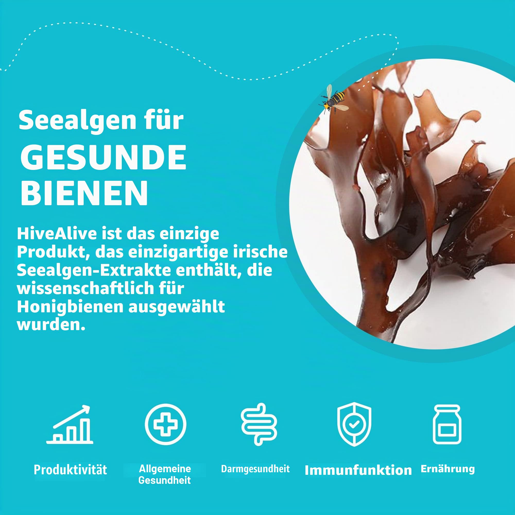 HIVE ALIVE Bienenfutter Zusatz - Bienenfutter Flüssig - Imker Zubehör - Herbst-Frühjahr - Senkt Wintersterblichkeit für Gesundheit Population & Honigproduktion - 500ml 50 Bienenstöcke