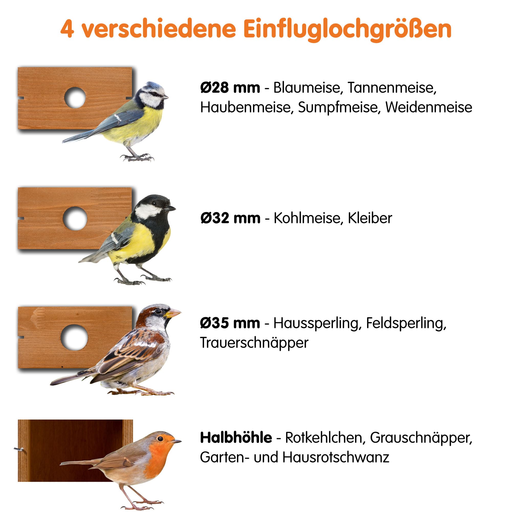 dobar® Großer Nistkasten Spitzdach aus Holz inklusive HD WiFi-Kamera und App mit austauschbaren Einfluglöchern - 25,5 x 22,5 x 53 cm - Grün-Braun
