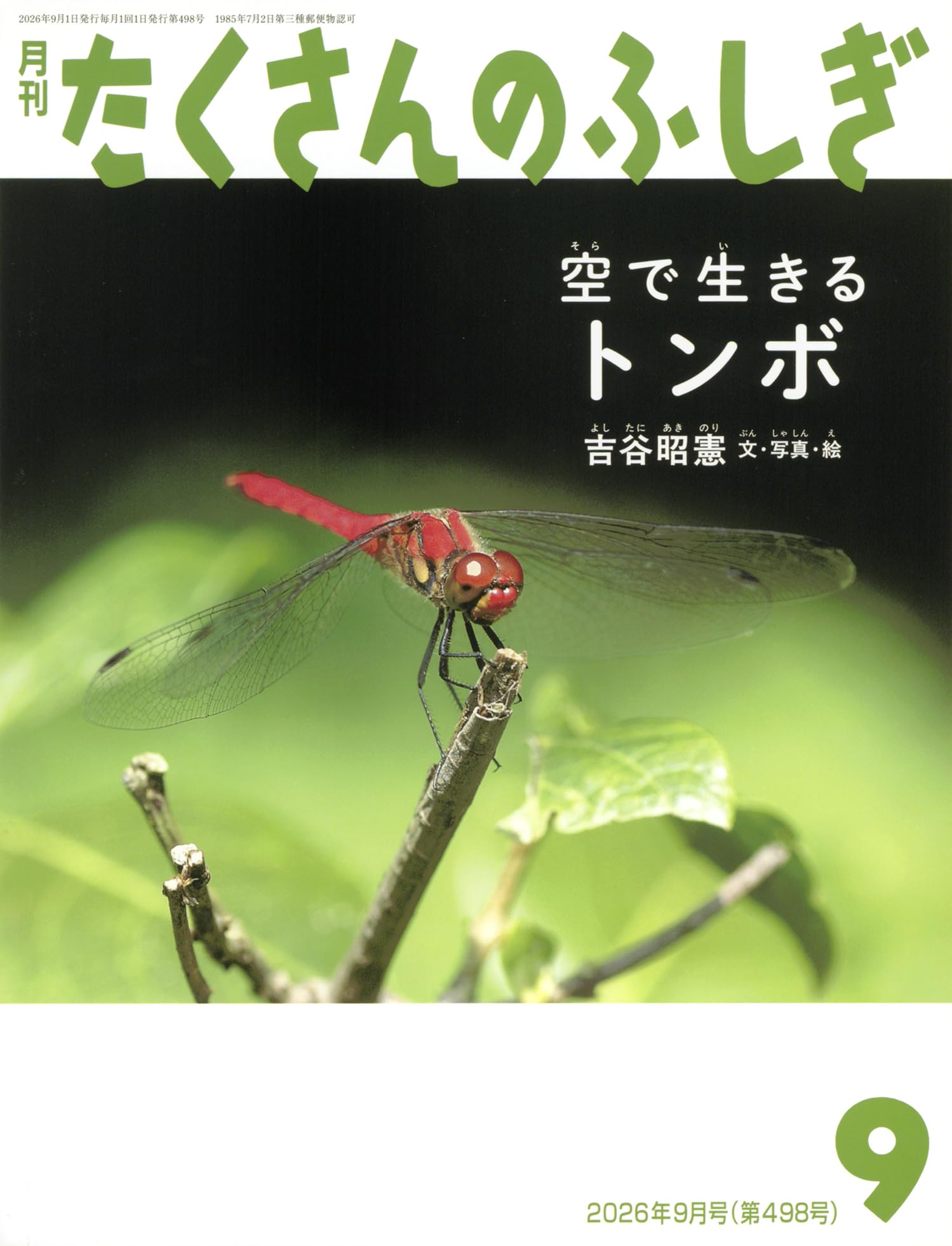 空で生きる トンボ (たくさんのふしぎ2026年9月号) | 吉谷 昭憲 |本