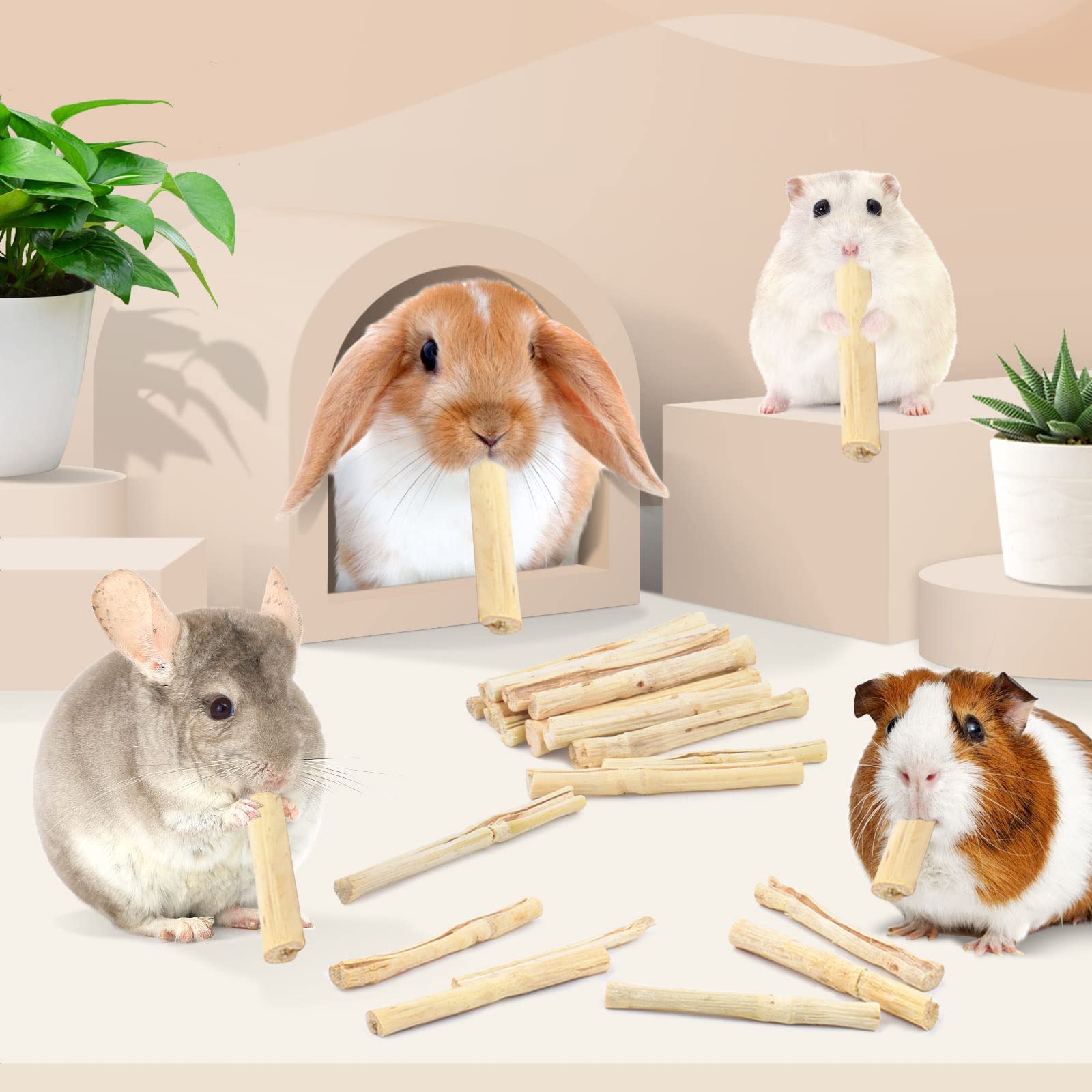 Bissap Bâtons de bambou doux de 700 g pour lapins, jouets à mâcher pour lapins, hamster, chinchilla cochon d'Inde, lapin, écureuil, petits animaux, friandises naturelles, bâtonnets à mâcher pour