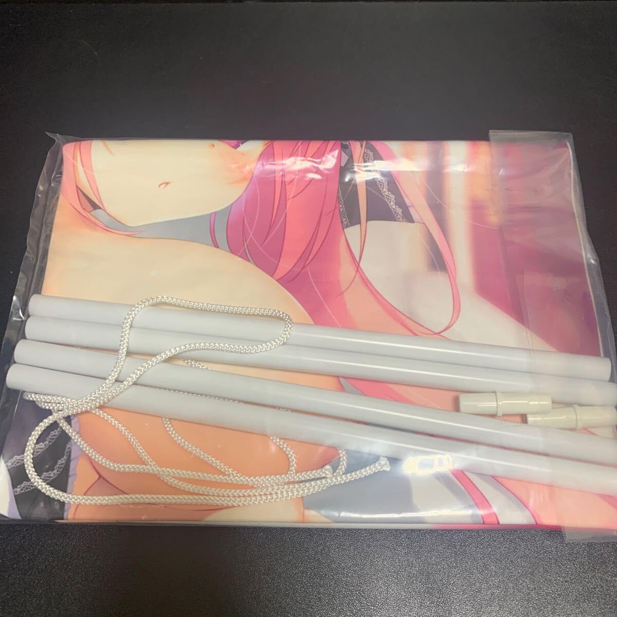 Amazon.co.jp: 『きまぐれテンプテーション』 アンネリーゼ B2 
