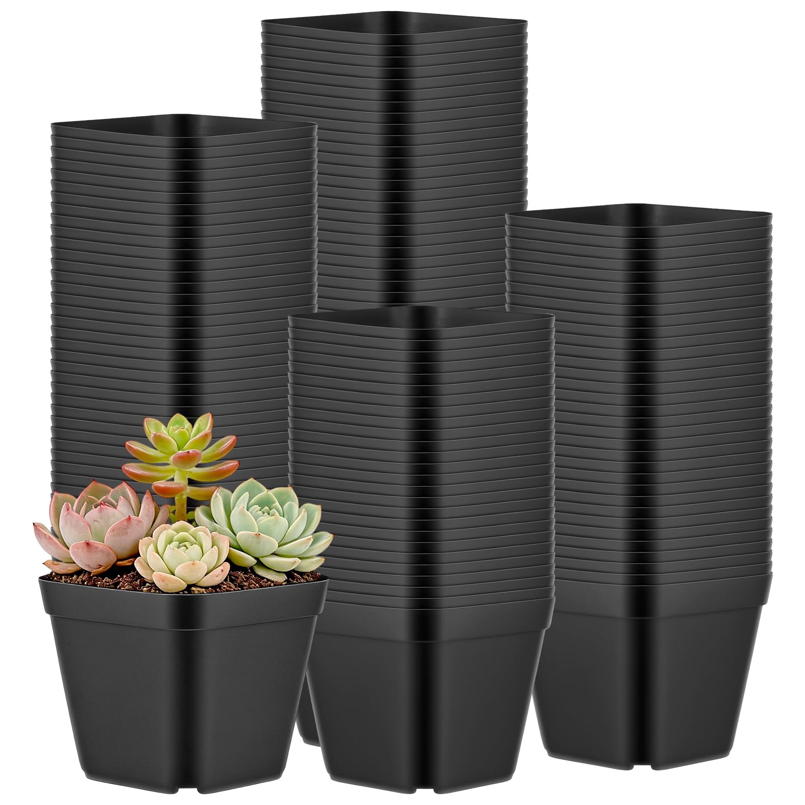 TAICHEUT 200PCS 10cm Square Nursery Pots, Black Plastic Plant Containers for Vegetables, Flowers, Succulents, Seedling Transplanting