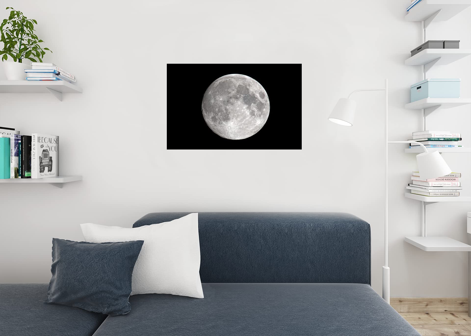 Amazon.com: Full Moon Night Sky Black White Vivid Detail