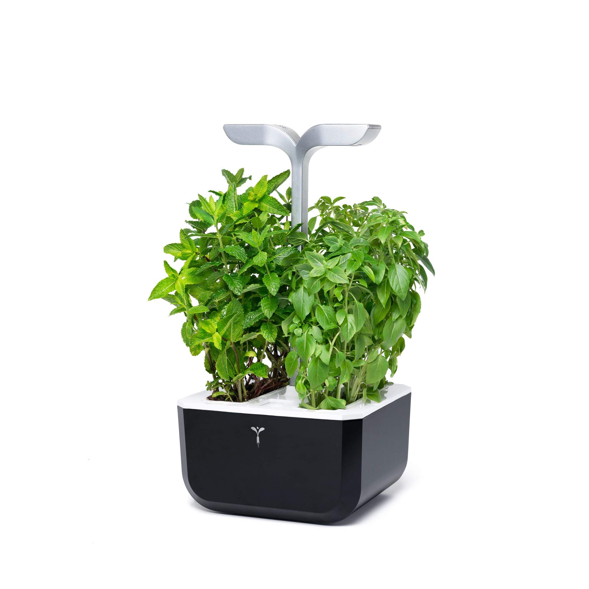 Véritable Jardin d'intérieur Exky Smart (Soft Black) - Jardin Intelligent Compact et Autonome avec Technologie Adapt'light - avec 2 Lingots