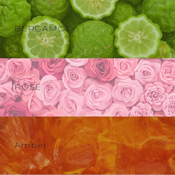David Walker Alnus perfume Exclusive Collection | Long-Lasting perfume for Women | 100ml/3.4Oz