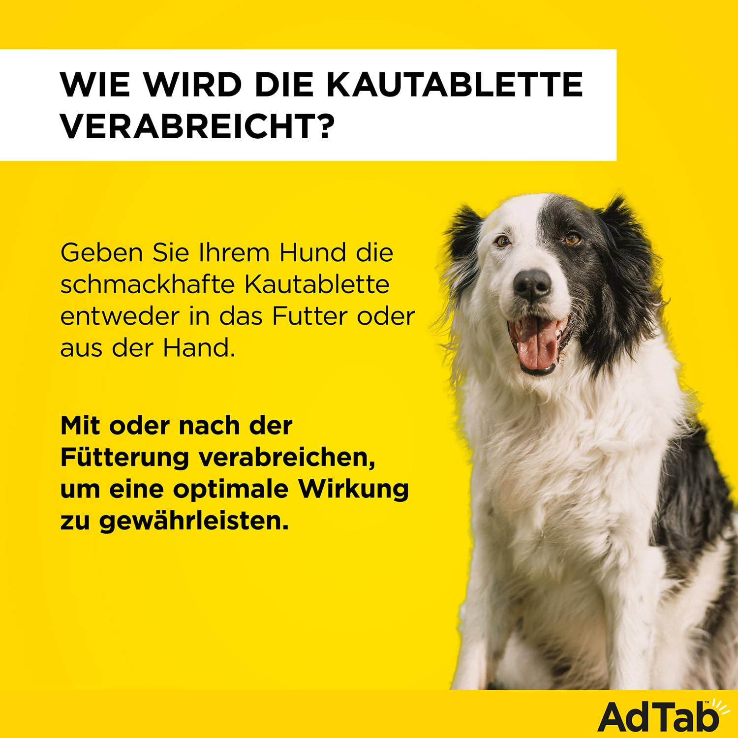 AdTab Kombi-Set: Zecken- & Flohschutz für 2 Hunde in verschiedenen Größen (>11-22 kg & >22-45 kg), 2 Packungen mit je 3 Kautabletten, einfach zu verabreichen & schmackhaft