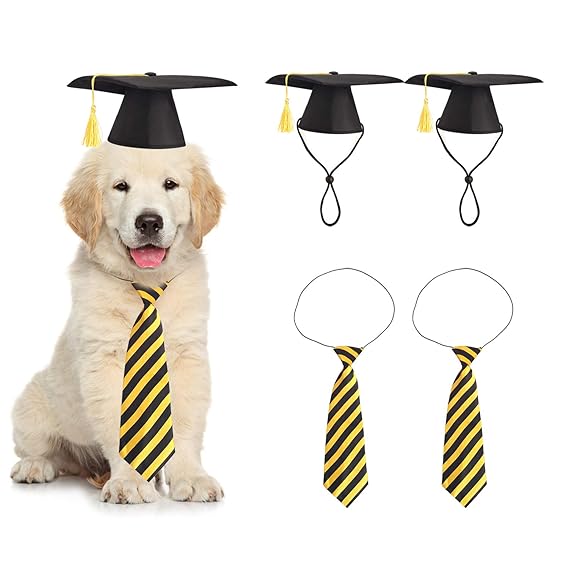 4 Pieces Pet Graduation Caps with Neck Tie Dogs Cats Graduation Hats for Small Medium Pet Costume Accessory Photography Props Black Gold