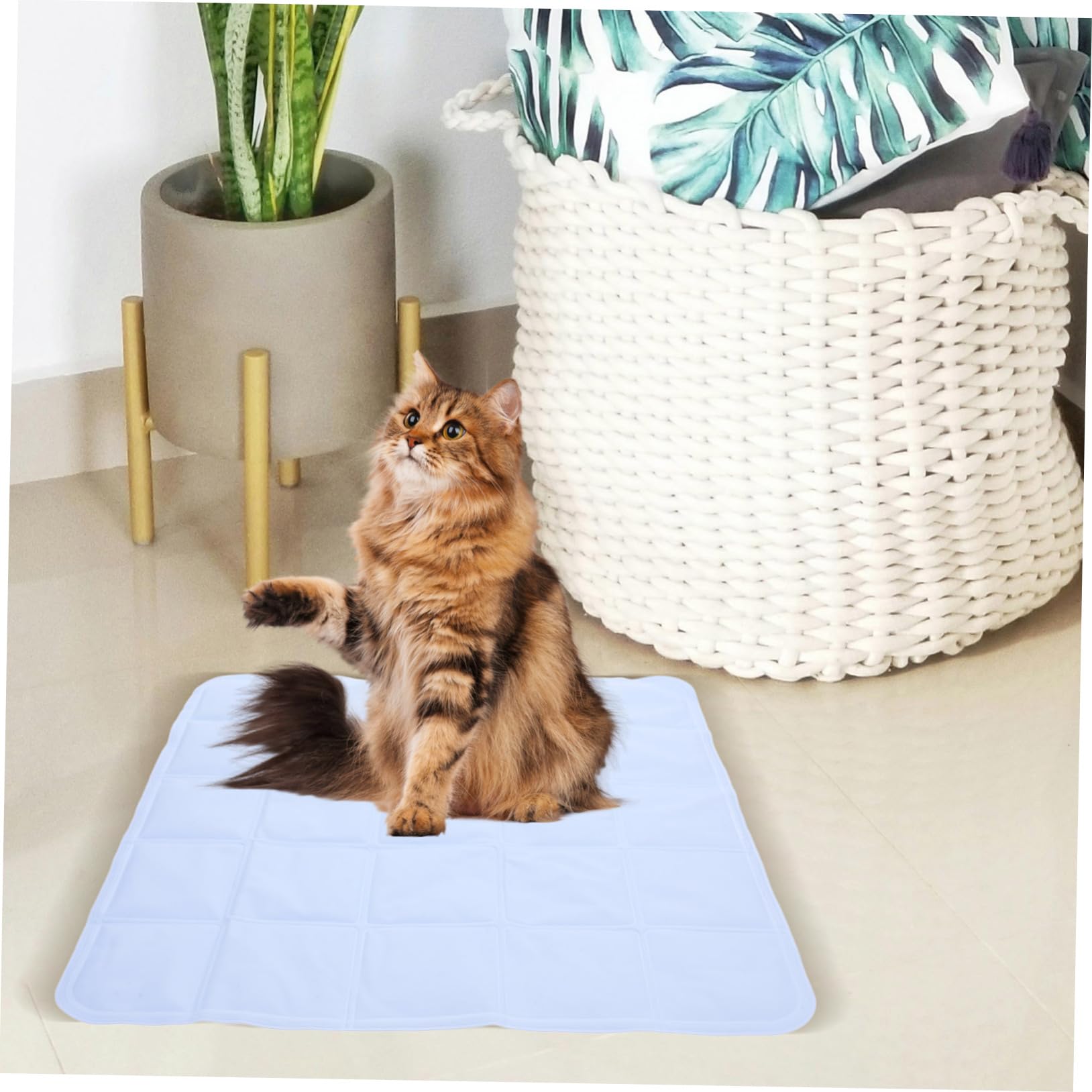 Tappetino Rinfrescante per Cane Autorefrescante Pvc Leggero | Festa Estiva, per Gatto e Cane, Facile da Spostare, Pratico e Confortevole, Uso in Estate e Caldo