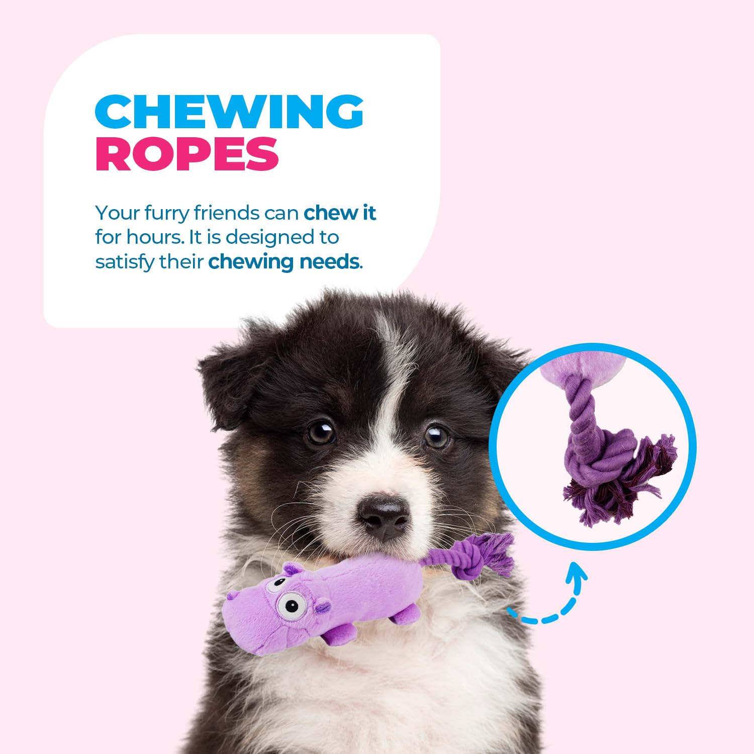 Pet Supplies : ALL FOR PAWS Ultrasonic Silent Squeaker Dog