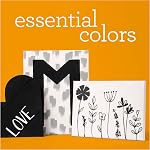 Apple Barrel PROMOABWB Set Featuring 2 16 fl oz White Black Acrylic Paint Colors, (Pack of 2), Multi