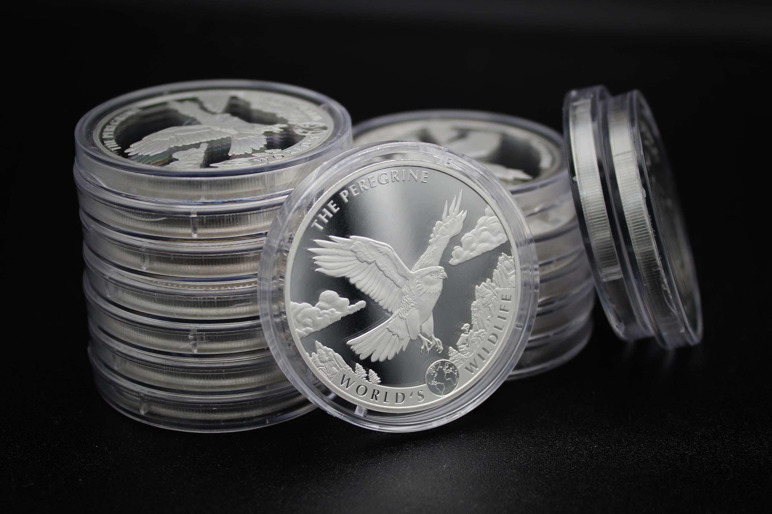 2024 1 oz Congo Silver World's Wildlife Series - Peregrine