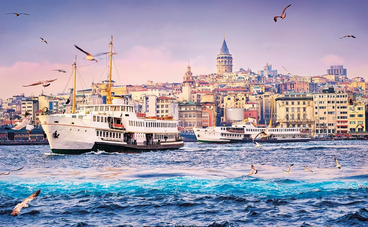 Pintoo - Two Plastic Jigsaw Puzzles Bundle - 1000 Piece - Golden Horn, Turkey and 300 Piece - Phoenix Chan - Fall Asleep [H2050+H2429] image 2