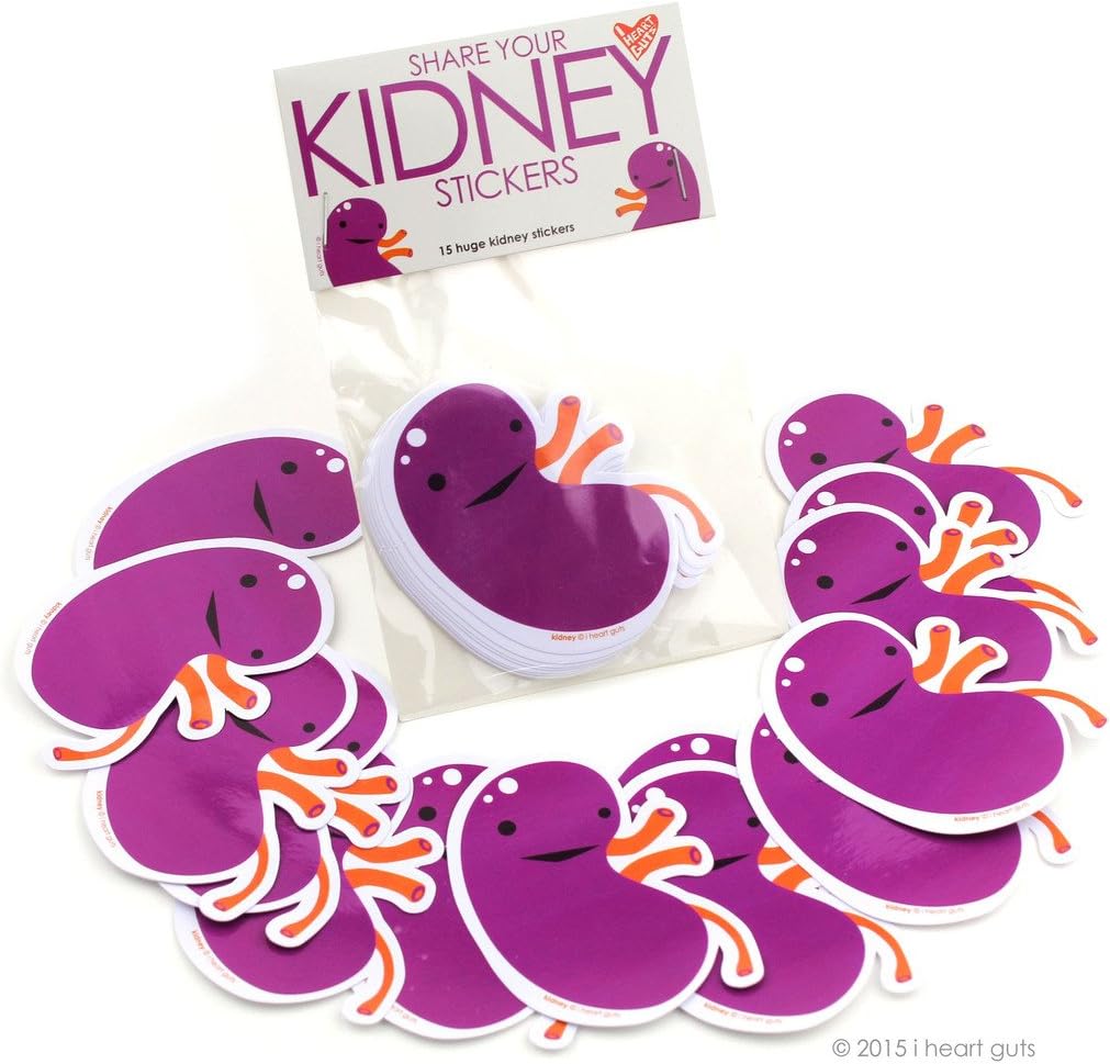 I Heart Guts Share Your Kidneys Stickers – 15-Pack Vinyl Kidney Stickers for Kidney Disease Awareness, Transplant Warriors, Dialysis Patients, CKD Support, Water Bottles, Journals, Gifts