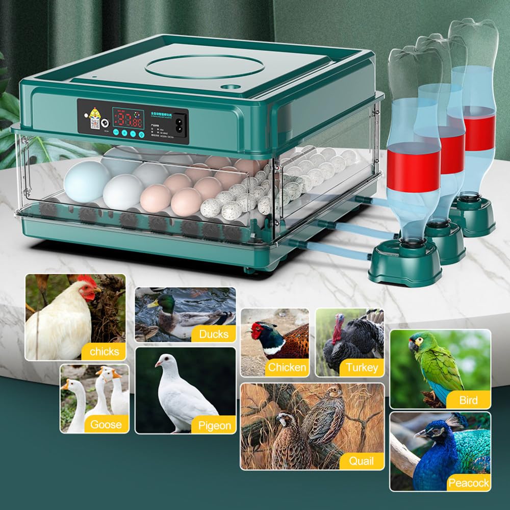 CcacHe Incubatrici Automatiche per Uova, incubatrici per Uova con giratore di Uova/riempimento Automatico dell'Acqua/Controllo della Temperatura/Illuminazione a LED, per polli Anatre oche Uccelli,6