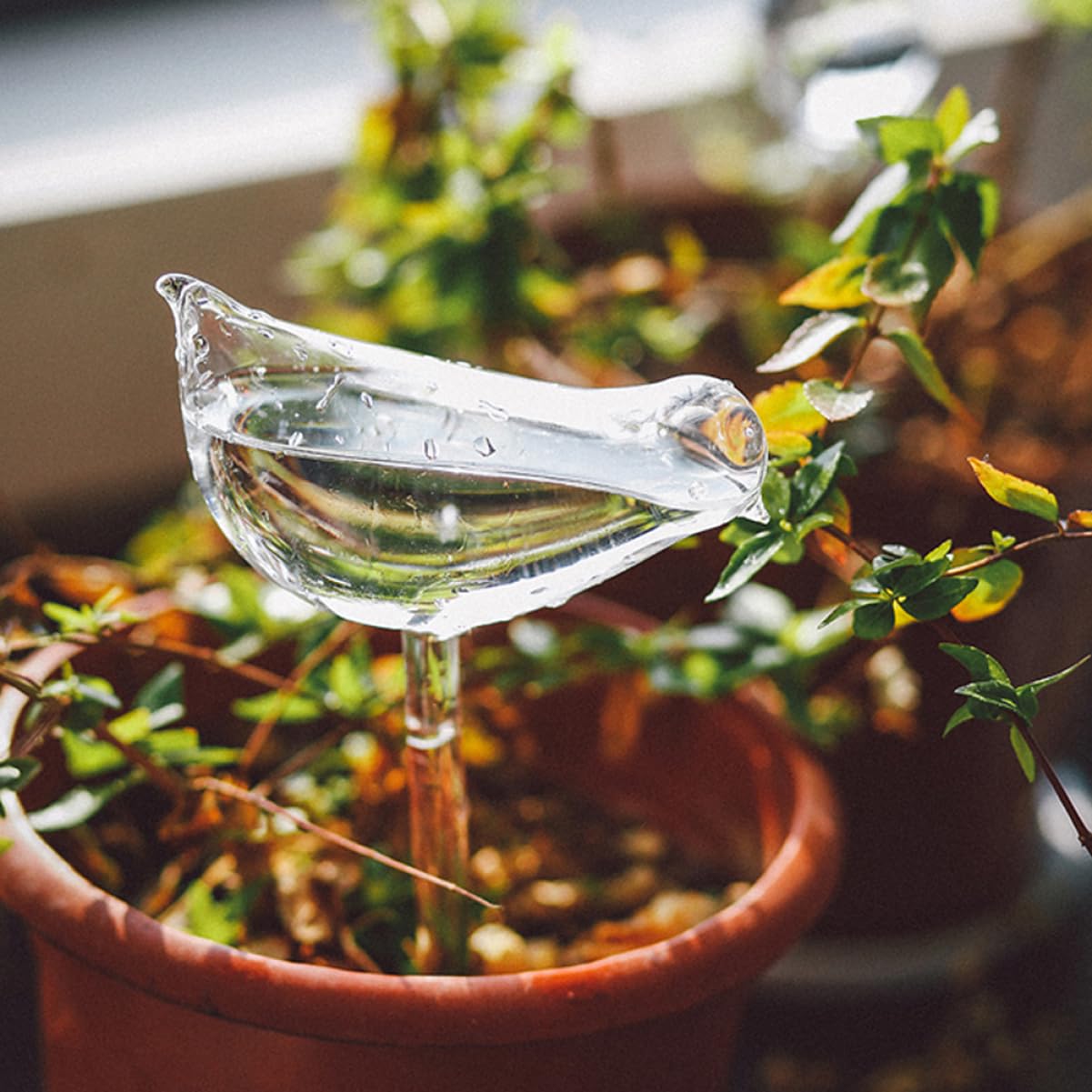 POPETPOP Globes à Arrosage Automatique 4Pcs en Verre Borosilicaté Arrosage Autonome Longue Durée pour Plantes d'Intérieur et d'Extérieur, pour Voyages et Fêtes