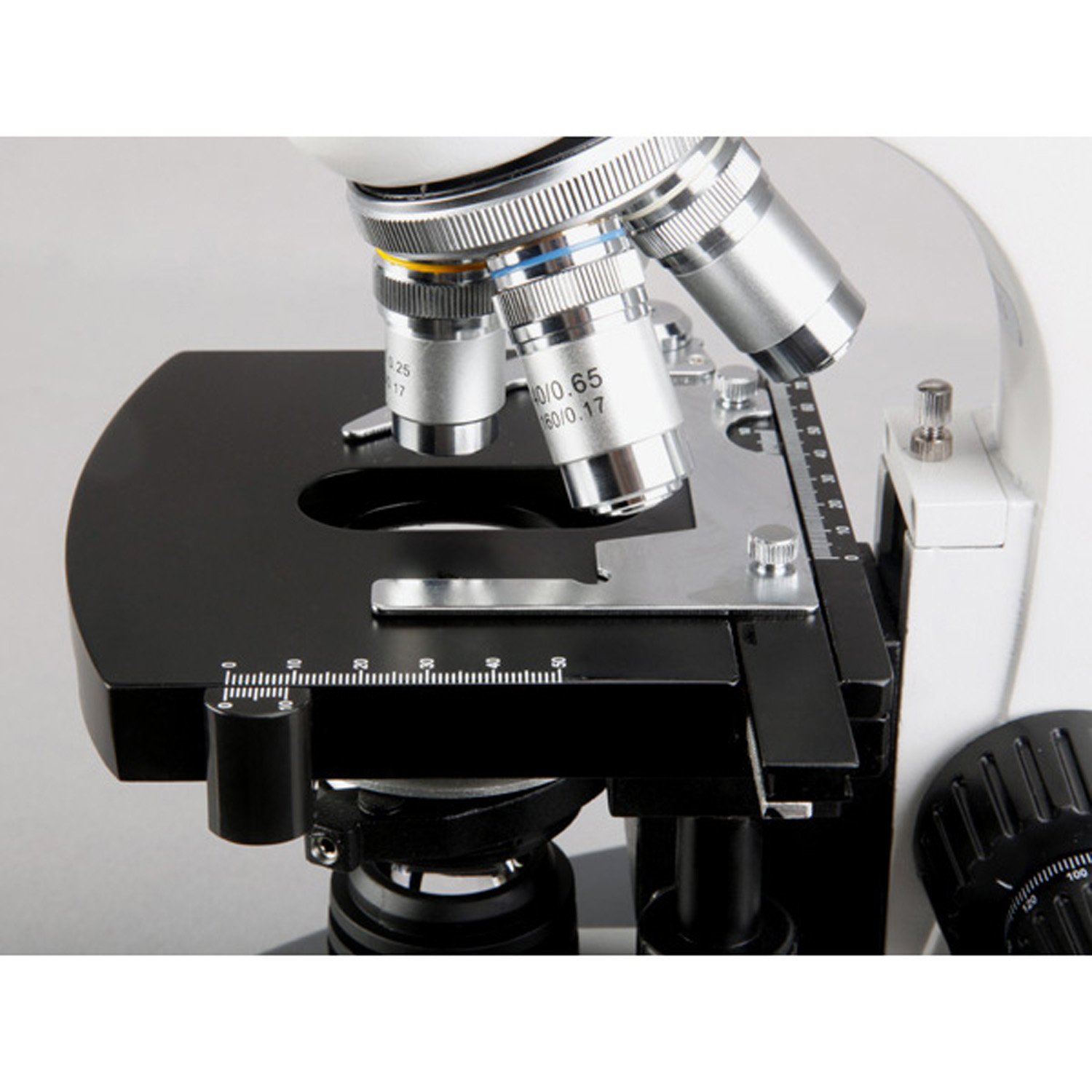 AmScope t360 C LED trinocular Compuesto biológica microscopio 40 x -2500 X