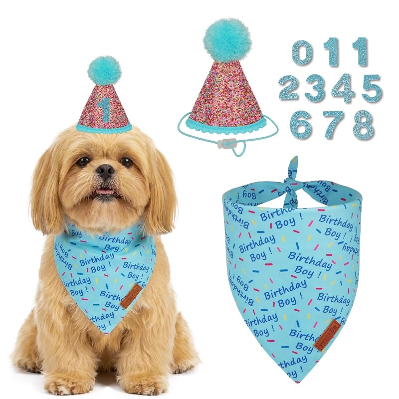 Bandana para Cachorro com Chapéu de Aniversário Glitter Birthday Boy PTDECOR Azul, Tamanho Pequeno