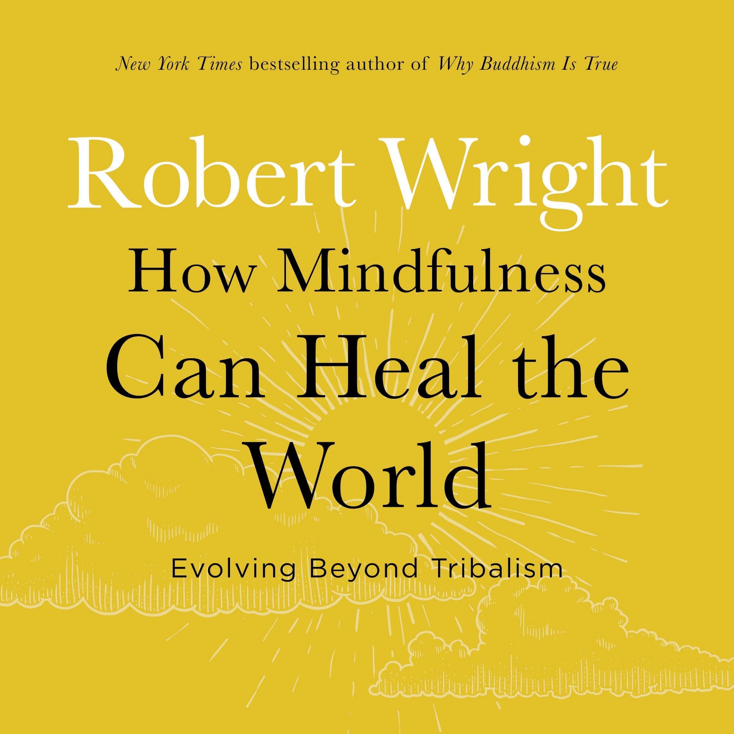 Cover art for How Mindfulness Can Heal the World