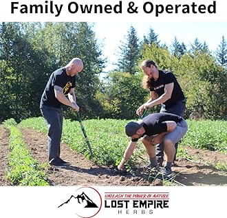 Lost Empire Herbs Hercules Pre Workout Herbal Supplement from No Additives Just Cistanche, Rhodiola, Cordyceps, Shilajit, Polyrhachis Ant & Maral Root to Boost Performance (Powder 100g)