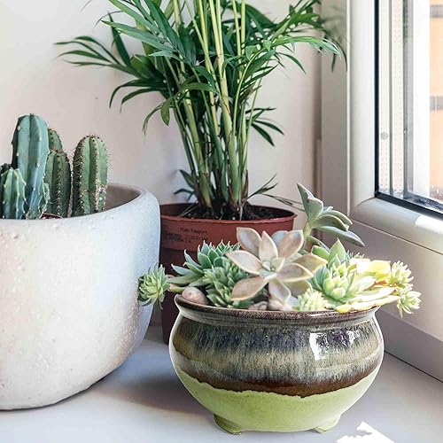 Miniatura 3 de Macetas únicas de cerámica esmaltada para suculentas poco profundas de 6.3 pulgadas, cuenco para bonsái, maceta redonda pequeña y poco profunda