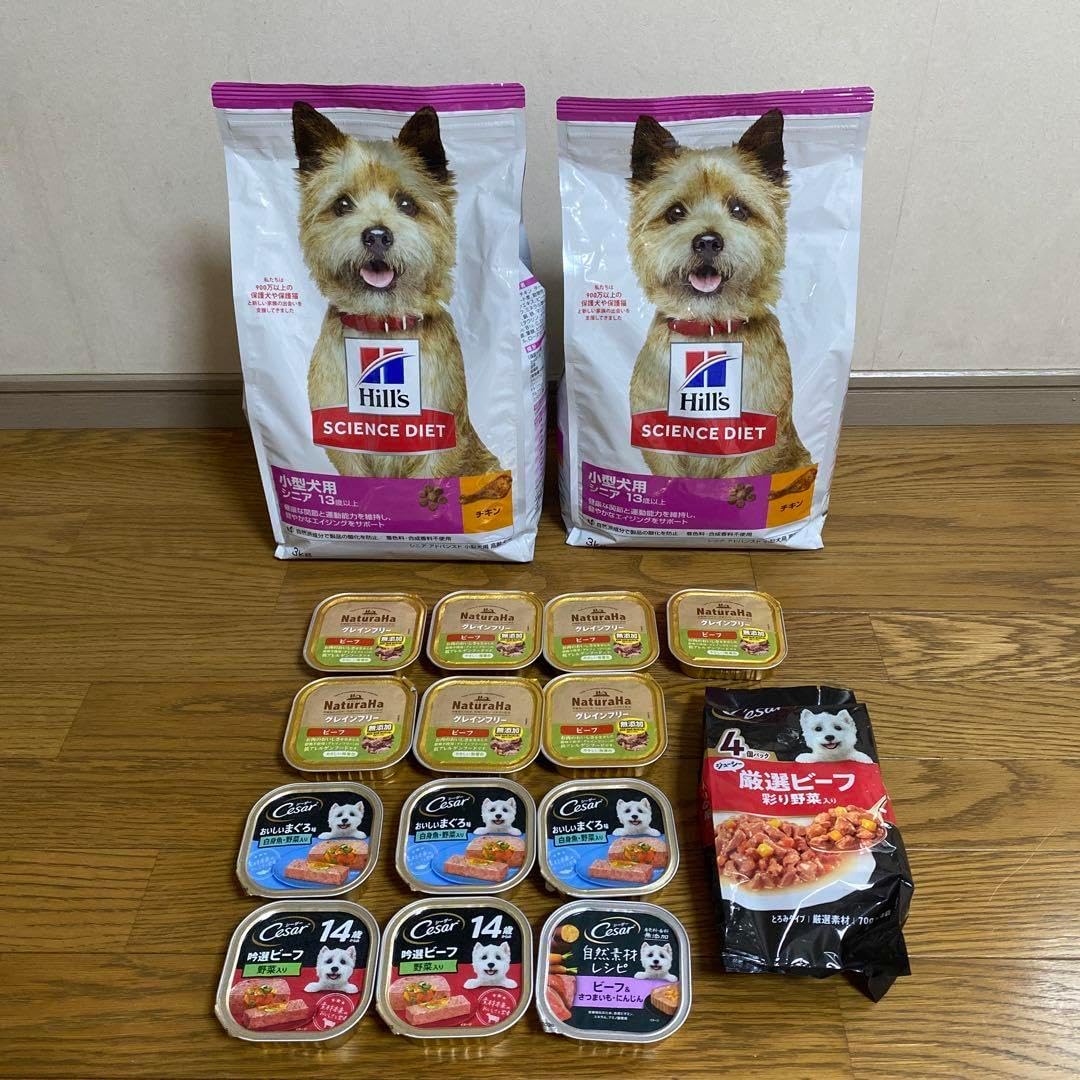 5517］アンコールワット・カンボジア120パーセントガイド 5517